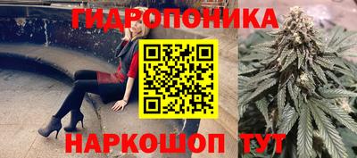 сатива Ростов Великий