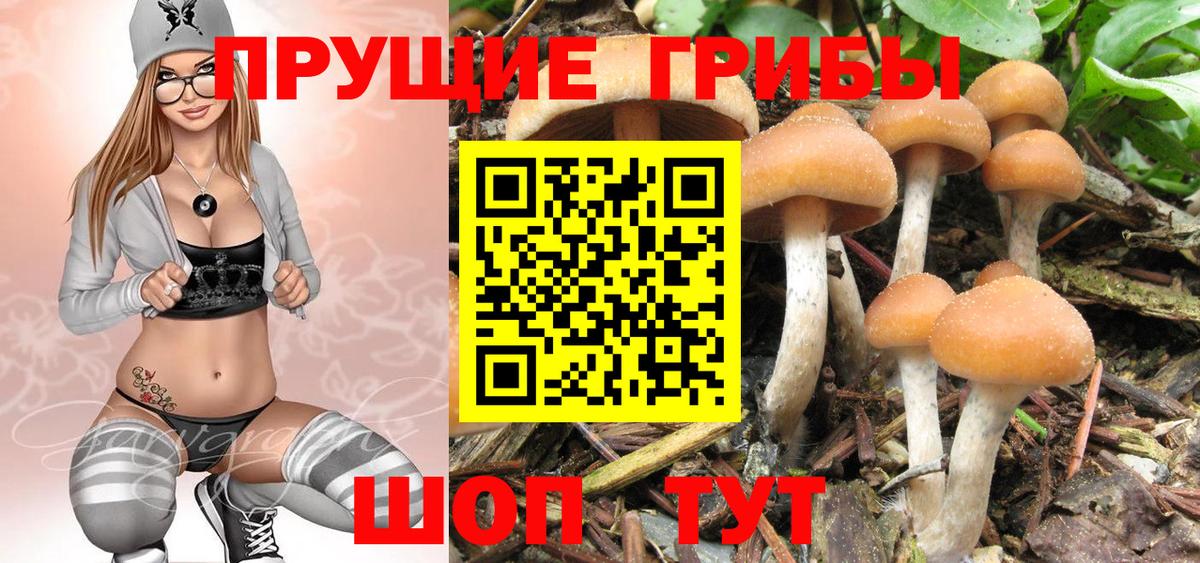 Галлюциногенные грибы Cubensis  Вход с VPN  купить   Белово 